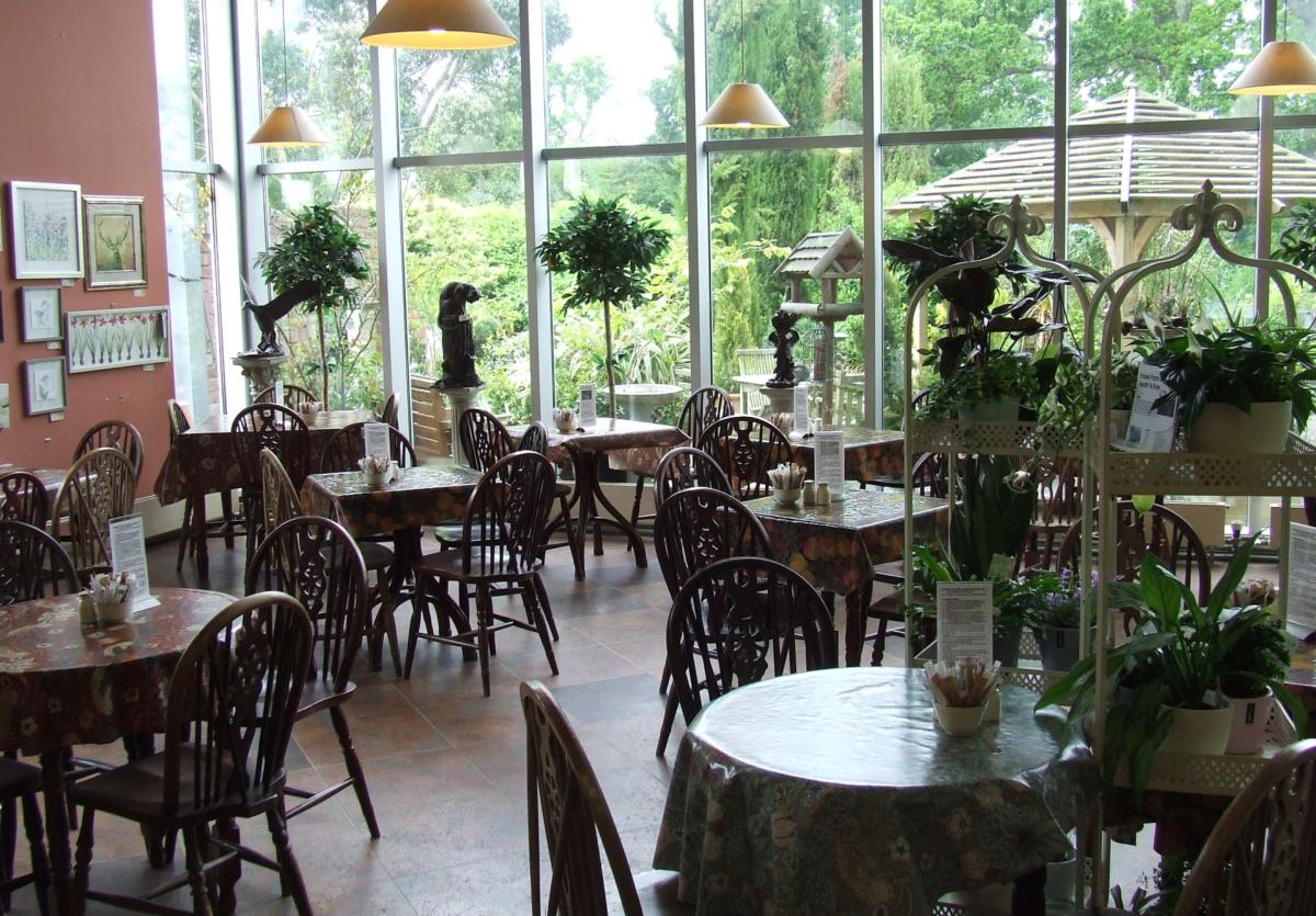 TEA ROOM New Hopetoun Garden Centre