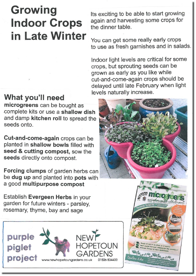 Showcase Gardens New Hopetoun Garden Centre Edinburgh