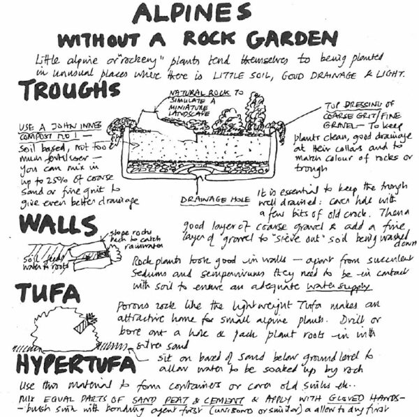 new-hopetoun-gardens-edinburgh-alpines