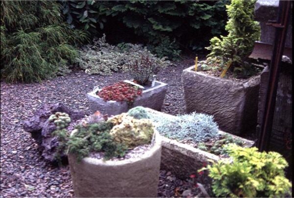 new-hopetoun-gardens-edinburgh-alpines-pots